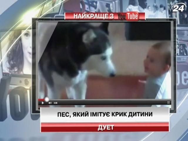Собака с Youtube имитирует крик ребенка