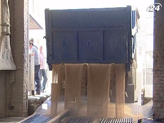 Зернотрейдери вивезли з України пшеницю по максимуму Зернотрейдери вивезли з України пшеницю по максимуму