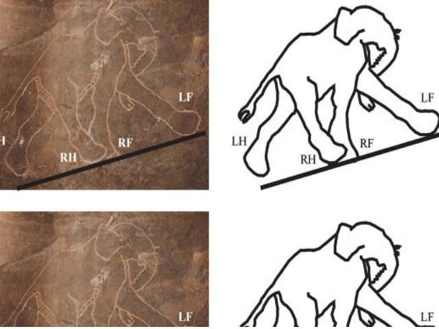 Вчені: Первісні люди малювали краще, ніж сучасні художники (Фото) Вчені: Первісні люди малювали краще, ніж сучасні художники (Фото)