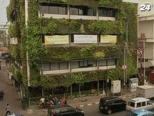 В Джакарте для улучшения экологии высаживают вертикальные сады