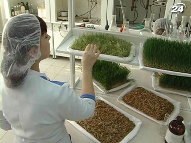 Інвестувати в операції з імпортом вигідніше Інвестувати в операції з імпортом вигідніше