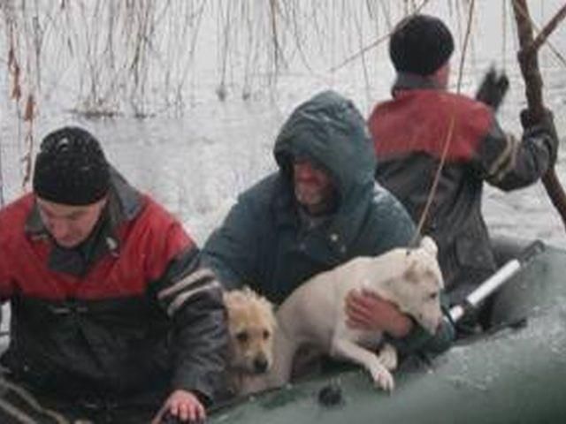МЧС спасло киевского "Робинзона Крузо" (Фото) МЧС спасло киевского "Робинзона Крузо" (Фото)