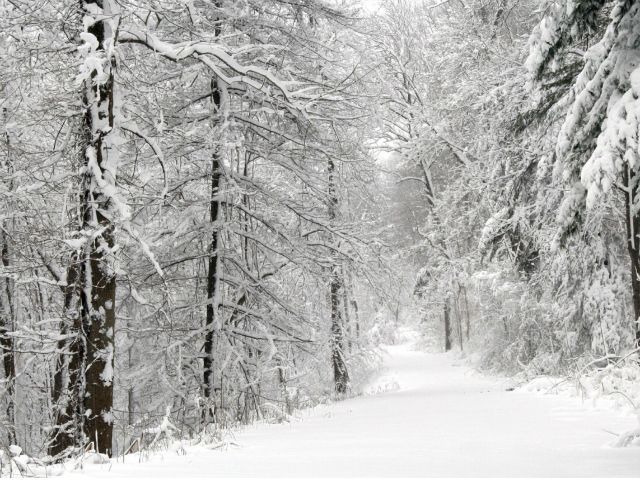 У найближчі дні в Україні очікуються снігопади та морози У найближчі дні в Україні очікуються снігопади та морози