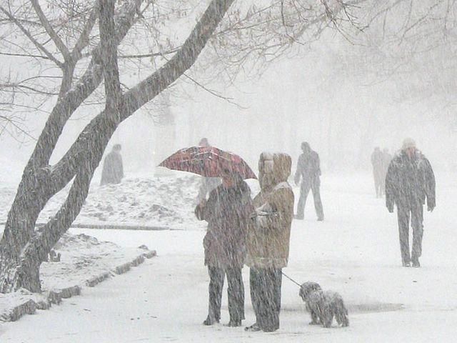 Завтра Украину заметет снегом