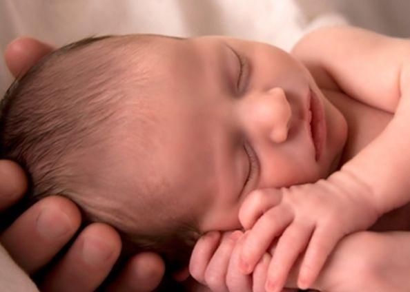 У Криму домашнього кота підозрюють у вбивстві немовляти У Криму домашнього кота підозрюють у вбивстві немовляти