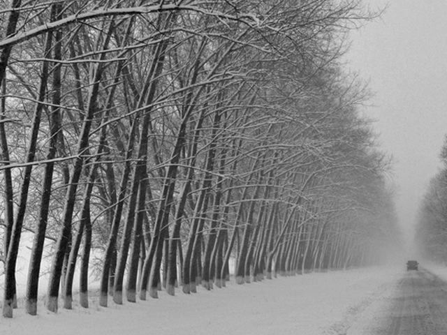 Завтра Україну засніжить Завтра Україну засніжить