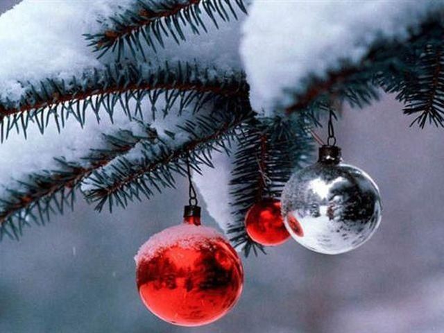 На Новый год в Украине будет тепло На Новый год в Украине будет тепло