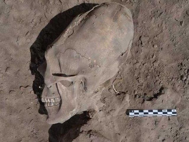 В Мексике археологи нашли череп "инопланетянина" (Фото, видео)