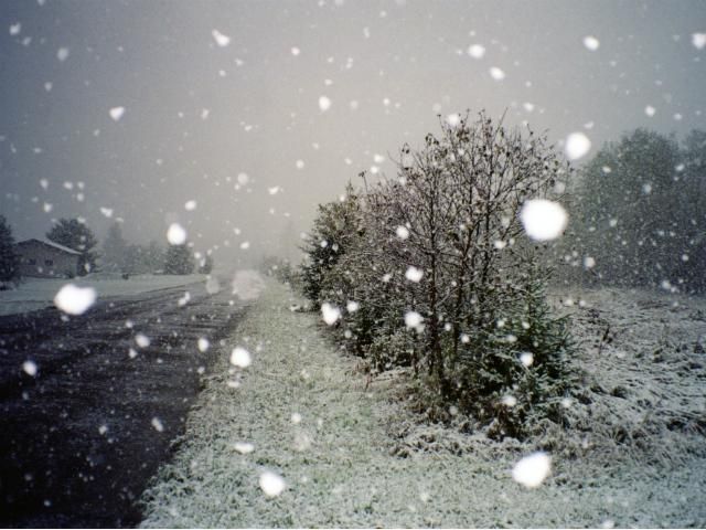 В Черновицкой области 14 сел оказались в снежной ловушке В Черновицкой области 14 сел оказались в снежной ловушке