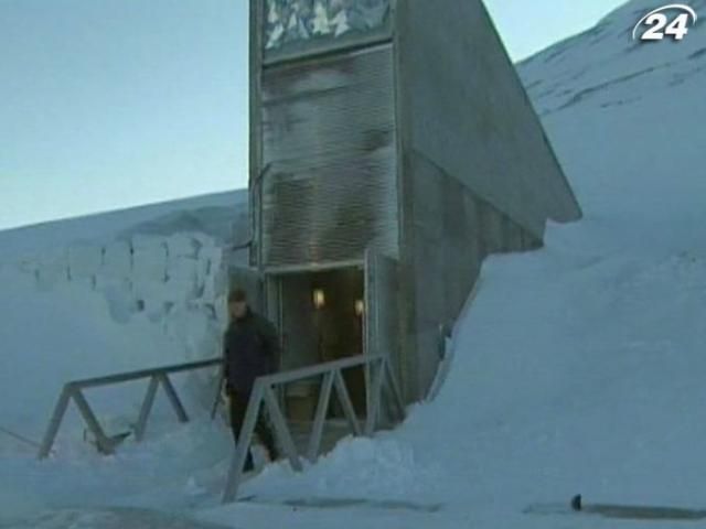 Всесвітні запаси насіння зберігають посеред арктичної криги Всесвітні запаси насіння зберігають посеред арктичної криги