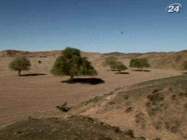 Гобі - найменш вивчена пустеля світу