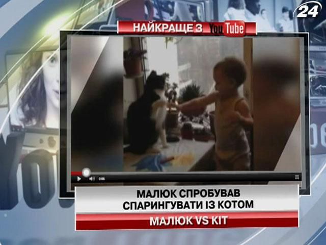 Малыш попытался спарринговать с котом