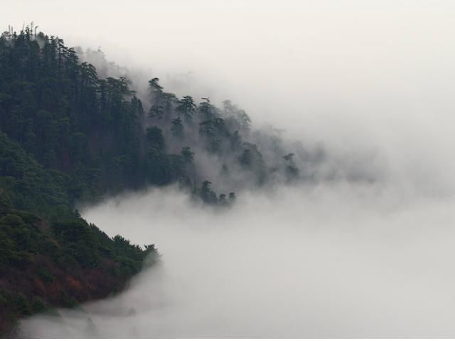 Закарпаття накриє сильний туман Закарпаття накриє сильний туман