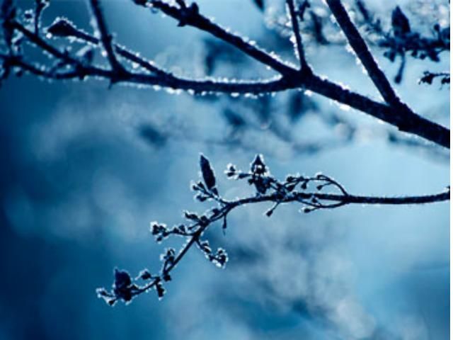 Завтра температура будет колебаться от 12 ° мороза до 14 ° тепла Завтра температура будет колебаться от 12 ° мороза до 14 ° тепла