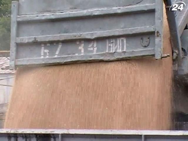 Українське зерно перевірятимуть на наявність ГМО Українське зерно перевірятимуть на наявність ГМО