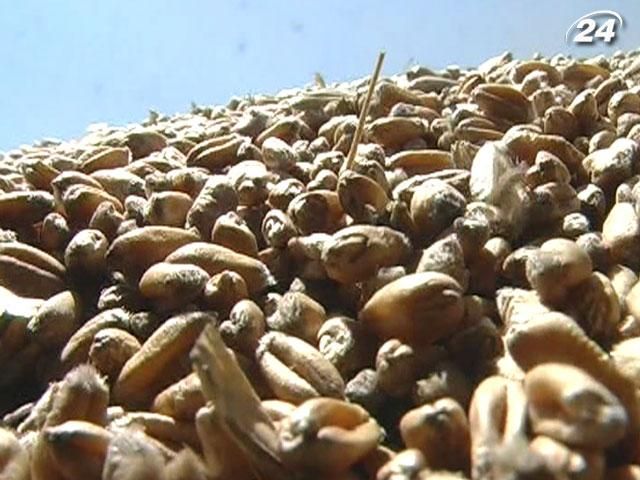 Україна може збільшити обсяг врожаю зернових на 10 мільйонів тонн Україна може збільшити обсяг врожаю зернових на 10 мільйонів тонн