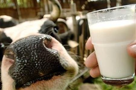 Білорусь планує експортувати в Україну рекордну кількість молока