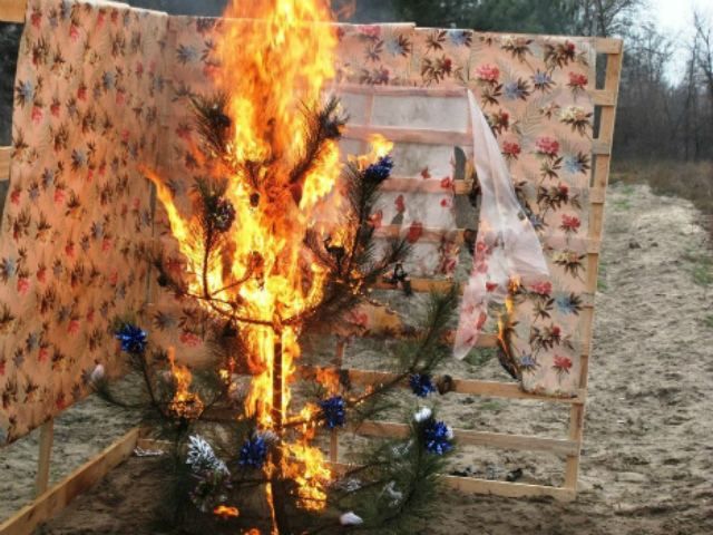 Пожарные советуют выбросить елку через окно, если она загорелась