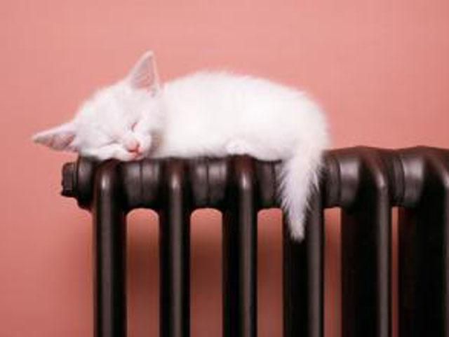 В Полтаве возобновили теплоснабжение В Полтаве возобновили теплоснабжение