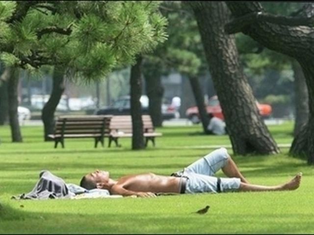 У Бразилії зафіксували рекордну спеку У Бразилії зафіксували рекордну спеку