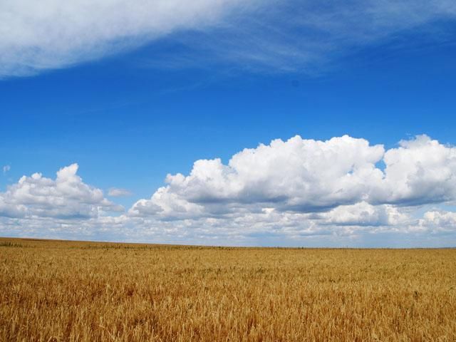 Власність на землю не обов’язково ще раз реєструвати Власність на землю не обов’язково ще раз реєструвати