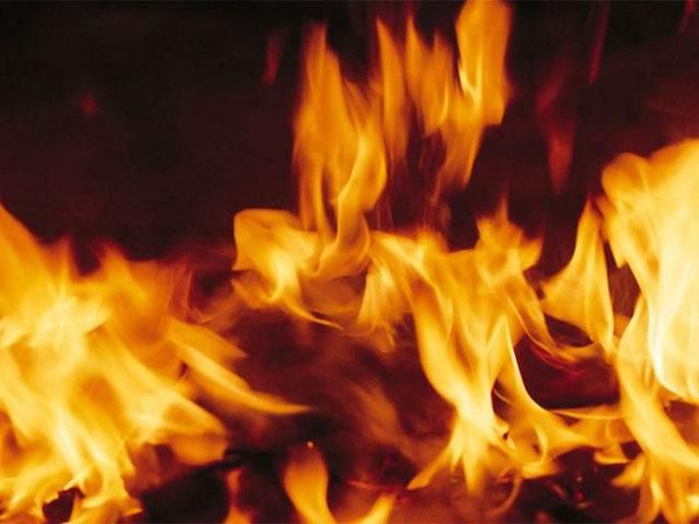 На Одещині спалили машину свободівця На Одещині спалили машину свободівця