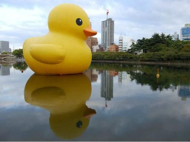 У Сіднеї розвели міст, щоб пропустити гігантську гумову качку (Фото, Відео) У Сіднеї розвели міст, щоб пропустити гігантську гумову качку (Фото, Відео)