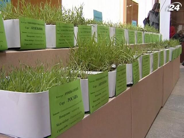 Органічним господарюванням в Україні займаються 155 виробників Органічним господарюванням в Україні займаються 155 виробників