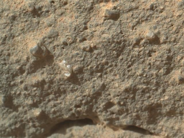 Марсохід сфотографував квітку на Марсі Марсохід сфотографував квітку на Марсі