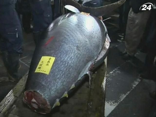 В Токио почти за $ 2 млн продали гигантского тунца
