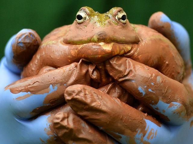 В зоопарке Лондона провели "перепись населения" (Фото)