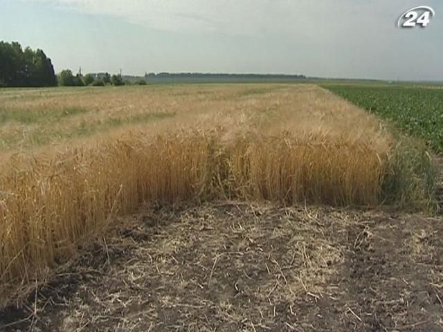 Вітчизняним аграріям урізали фінансування на 2013 рік Вітчизняним аграріям урізали фінансування на 2013 рік