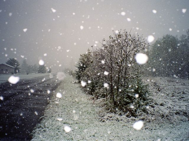 В Україні на завтра оголосили штормове попередження В Україні на завтра оголосили штормове попередження