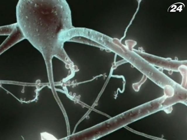 В "долине неврологии" делают эксперименты над человеческим сознанием В "долине неврологии" делают эксперименты над человеческим сознанием