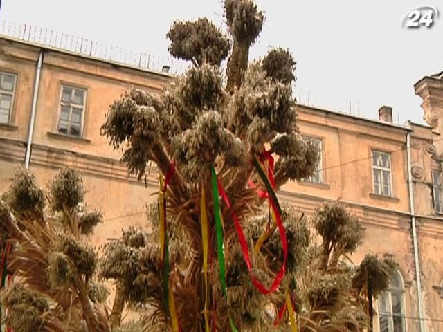 На Сочельник во Львове установили Дидух На Сочельник во Львове установили Дидух