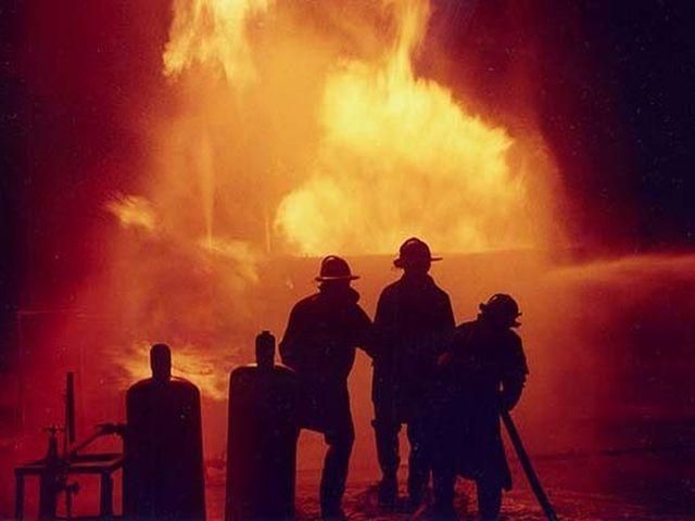 У Києві під час пожежі у ветлікарні загинули 5 тварин У Києві під час пожежі у ветлікарні загинули 5 тварин