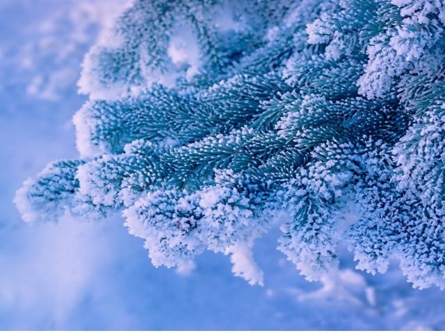 На Старый Новый год в Украине прогнозируют до 19 ° мороза На Старый Новый год в Украине прогнозируют до 19 ° мороза