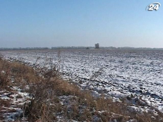 Синоптики: 12% озимых культур - в неудовлетворительном состоянии Синоптики: 12% озимых культур - в неудовлетворительном состоянии
