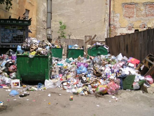 Половина пищи на Земле пропадает зря, - исследование Половина пищи на Земле пропадает зря, - исследование