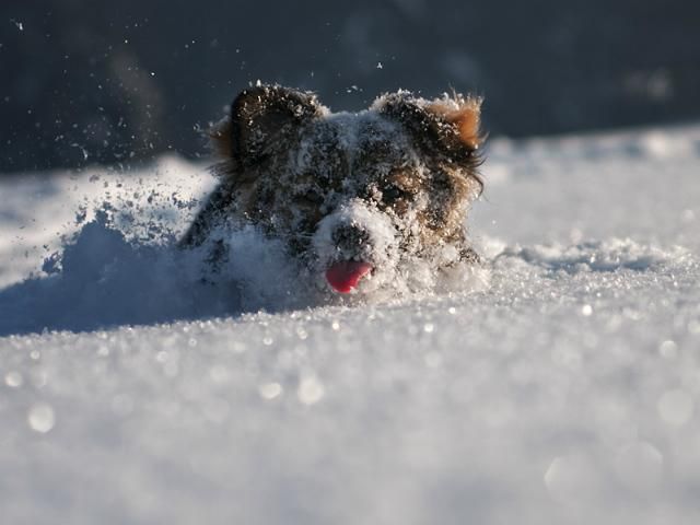 Сьогодні в Україні обіцяють потепління та сніг Сьогодні в Україні обіцяють потепління та сніг