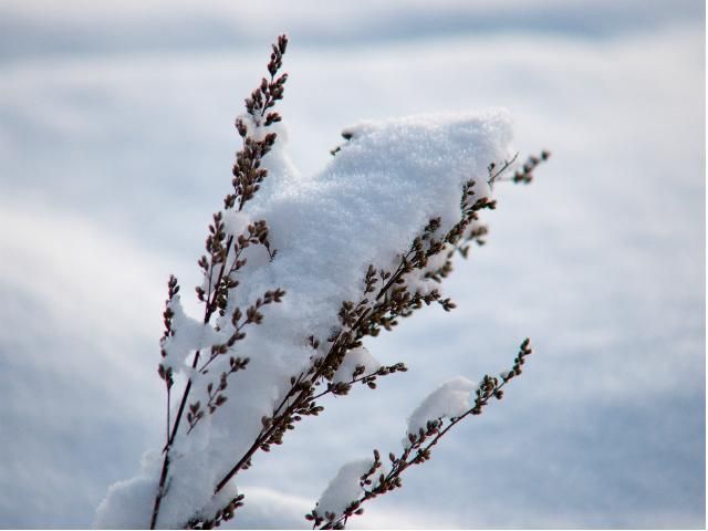 Сьогодні Україну засипле снігом 
