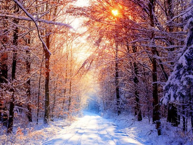 Українців поморозить без снігу Українців поморозить без снігу