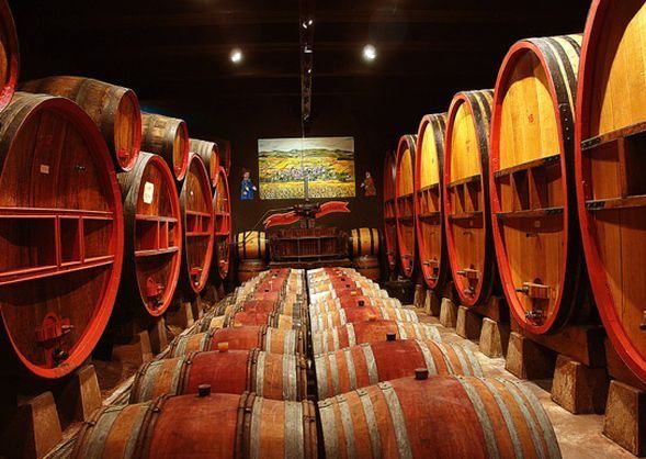 В Україні на 7% скоротилось виробництво вина В Україні на 7% скоротилось виробництво вина