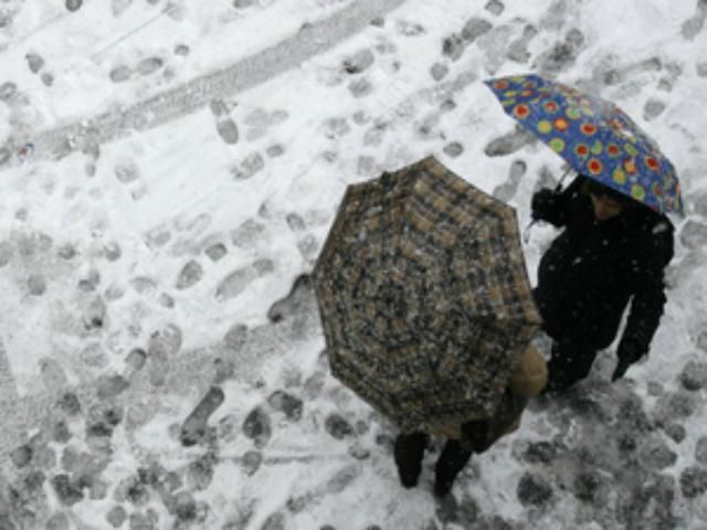 Сьогодні в Україні дощитиме   - 16 січня 2013 - Телеканал новин 24