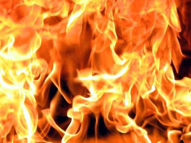 Четверо маленьких дітей заживо згоріло у пожежі на Житомирщині
