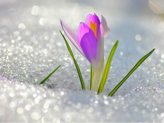 Сьогодні повітря прогріється до +13 градусів Сьогодні повітря прогріється до +13 градусів