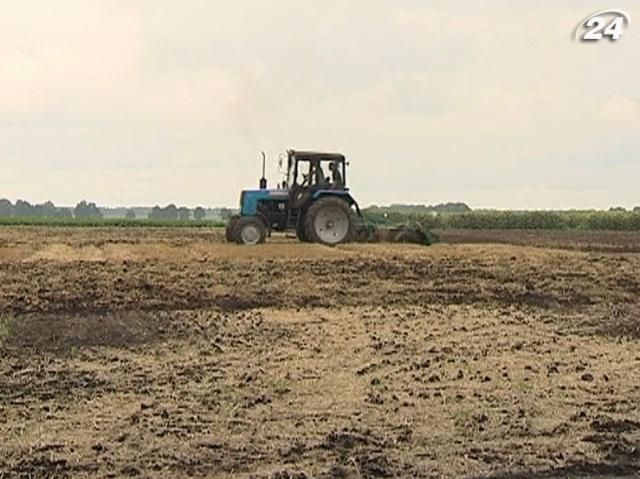 Експерти: Підвищення податку на землю найбільше вдарить по селянах Експерти: Підвищення податку на землю найбільше вдарить по селянах