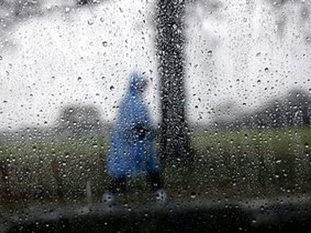 В Україні на середу оголосили штормове попередження В Україні на середу оголосили штормове попередження