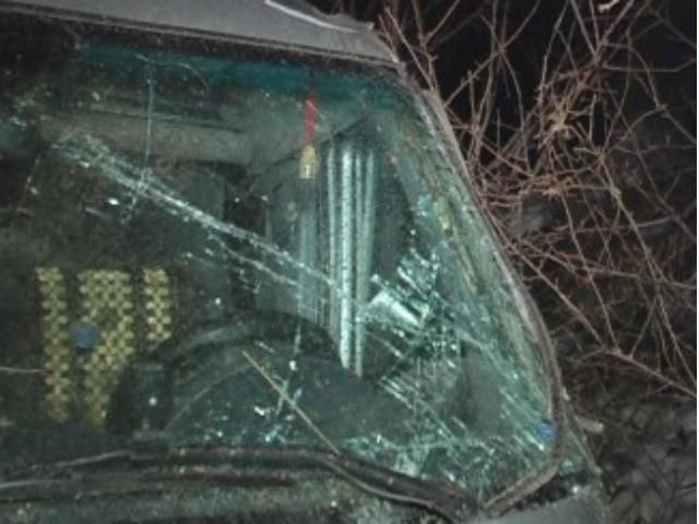 Неподалік Києва мікроавтобус вилетів у кювет (Фото) Неподалік Києва мікроавтобус вилетів у кювет (Фото)