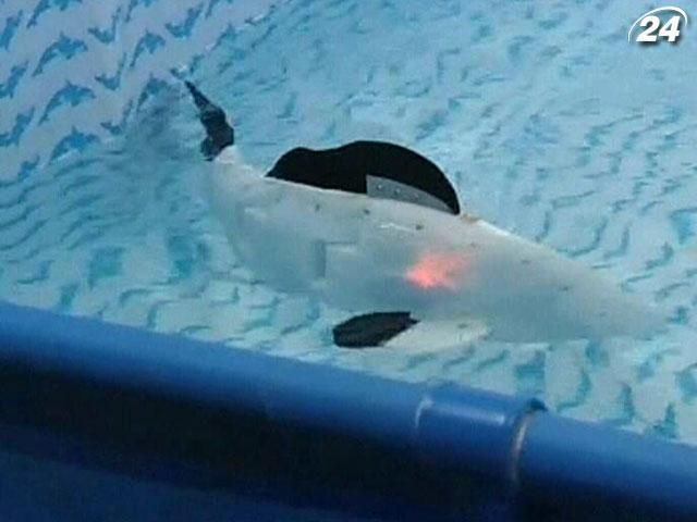 Польські ентузіасти розробили рибу-шпигуна Польські ентузіасти розробили рибу-шпигуна